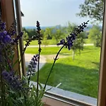 Naehe Attersee - Traunsee Lehner Im Wald Idyllisches In Alleinlage Apartment Rutzenmoos