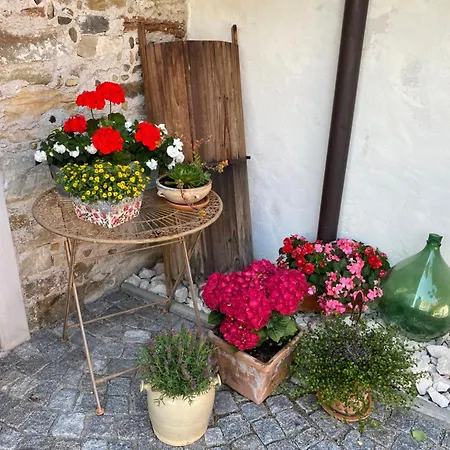 Naehe Attersee - Traunsee Lehner Im Wald Charmantes In Alleinlage Lejlighed