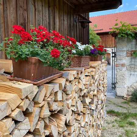 Lägenhet Naehe Attersee - Traunsee Lehner Im Wald Charmantes In Alleinlage