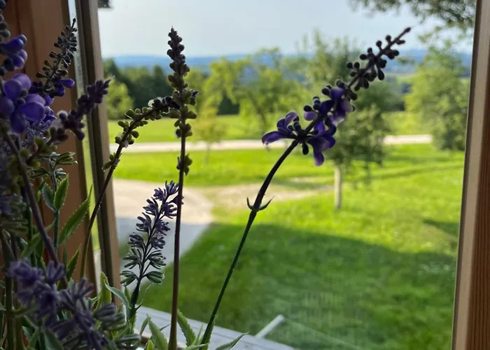 Naehe Attersee - Traunsee Lehner Im Wald Charmantes In Alleinlage Appartement Rutzenmoos