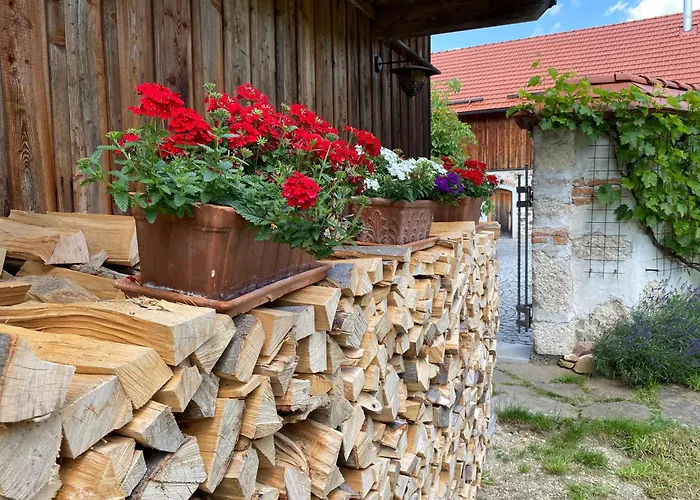 Appartement Naehe Attersee - Traunsee Lehner Im Wald Charmantes In Alleinlage