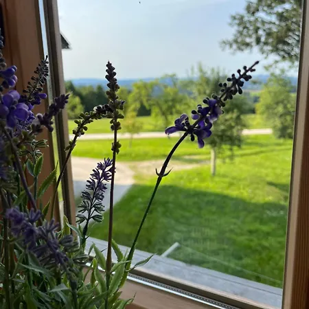 Naehe Attersee - Traunsee Lehner Im Wald Idyllisches In Alleinlage Apartment Rutzenmoos