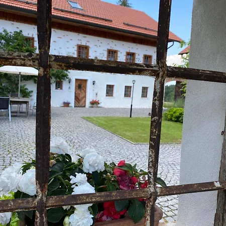Appartamento Naehe Attersee - Traunsee Lehner Im Wald Charmantes In Alleinlage *